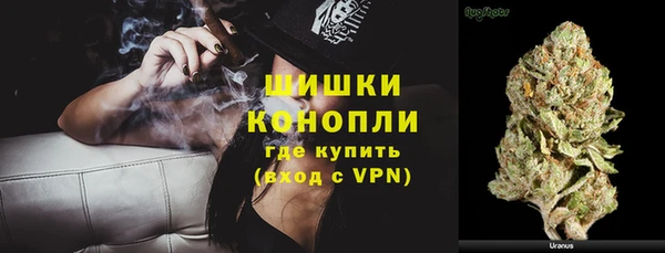 гидропоника Карпинск