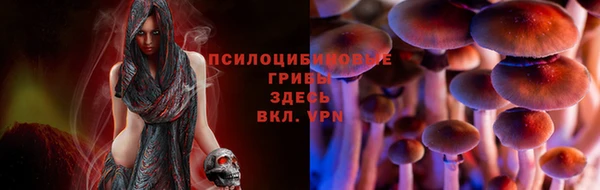 героин Абаза