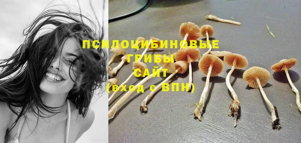 героин Абаза