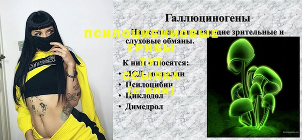гидра Абинск